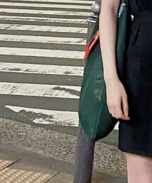 LACOSTE | エコバッグ/サブバッグ