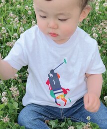 POLO RALPH LAUREN | Tシャツ/カットソー