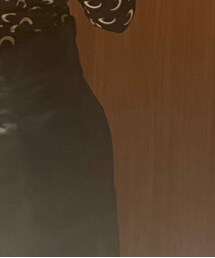 mame kurogouchi | スカート