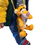 Disney(ディズニー)の「バッグ(ショルダーバッグ)」