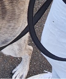 UNIQLO | デニムパンツ