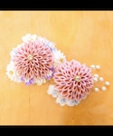Handmade(ハンドメイド)の「ヘアアクセサリー(バレッタ/ヘアクリップ)」