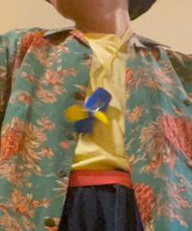 ノベルティのファン | その他小物