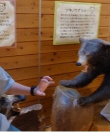 FreshService | Tシャツ/カットソー