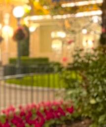 Disney land | その他