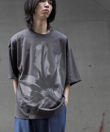 ANEI | Tシャツ/カットソー