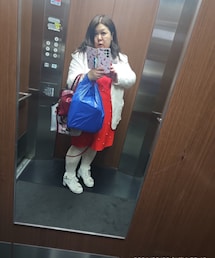 ドン・キホーテ | タイツ/ストッキング