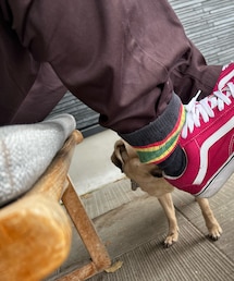 GU | チノパンツ