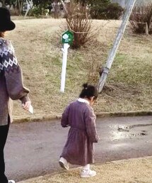 Birthday | ワンピース