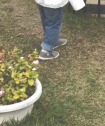 Cienta | スニーカー