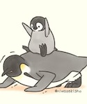🔸癒しペンギン🐧💕の「その他(その他)」