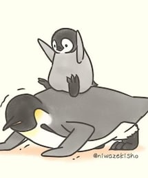 🔸癒しペンギン🐧💕 | LOVE🐷💦(その他)