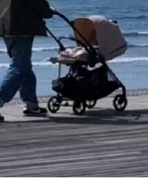 THE NORTH FACE | ブルゾン