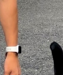 Apple Watch | アナログ腕時計