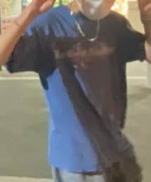 Harley-Davidson | Tシャツ/カットソー