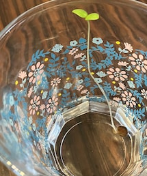 🌱6/12 | なんか元気になってました🌱✨🎶(その他)