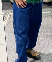 Dickies | デニムパンツ