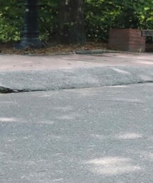 PAZZO | ワンピース