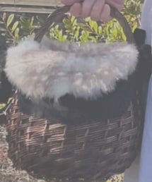 Samansa Mos2 | かごバッグ