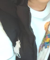 POLO RALPH LAUREN | ベスト