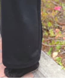 COULEURVARIE | シューズ