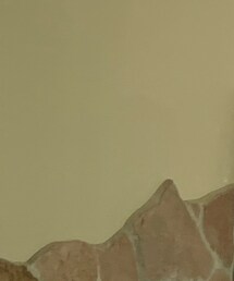 FTC | ダウンジャケット/コート