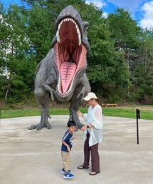 恐竜博物館🦖 | その他