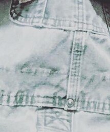 Carhartt | サロペット/オーバーオール