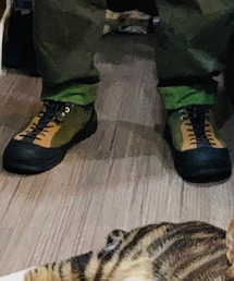 KEEN | スニーカー