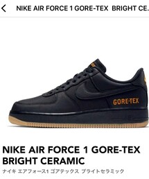 NIKE | NIKE AIR FORCE 1 GORE-TEX BRIGHT CERAMIC(スニーカー)
