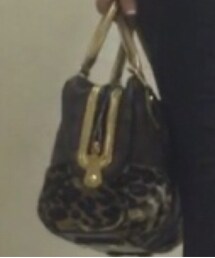LOUIS VUITTON | ハンドバッグ