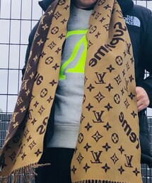 LOUIS VUITTON | マフラー