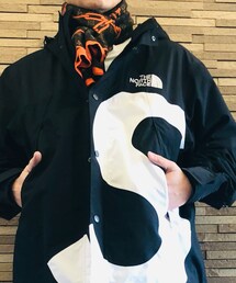 LOUIS VUITTON | マフラー