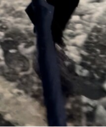 THE NORTH FACE | ブーツ