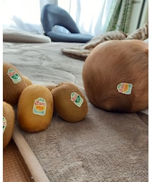 キウイベビー | その他