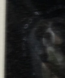 SCULPTOR | Tシャツ/カットソー