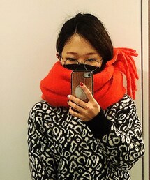 不明 | マフラー