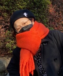 不明 | マフラー