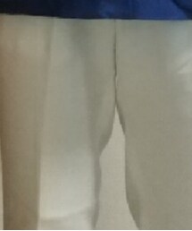 INCOTEX | チノパンツ