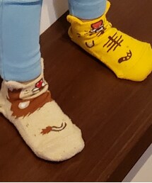 Birthday | ソックス/靴下