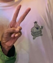 STUSSY | Tシャツ/カットソー