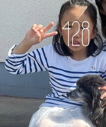 Arnold Palmer | Tシャツ/カットソー