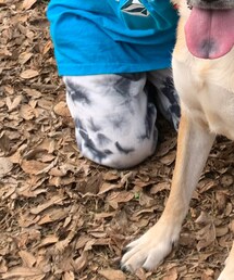 VOLCOM | スウェットパンツ