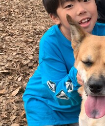 VOLCOM | Tシャツ/カットソー