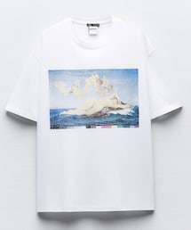 ZARA | Tシャツ/カットソー