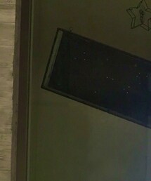 GUCCI | サングラス