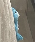 care bearの「雑貨/ホビー(おもちゃ)」