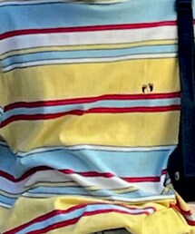 HANGTEN | Tシャツ/カットソー