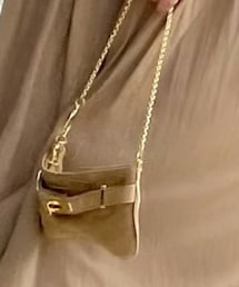 sita parantica | バッグ