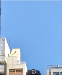 THE H.W. DOG & CO.  | 帽子